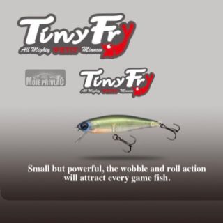 ❗️Nově na prodejně a na e-shopu Moje přívlač…woblery ILEX Tiny Fry 65 Sp❗️ Široký výběr barev,že si vybere opravdu každý✅...